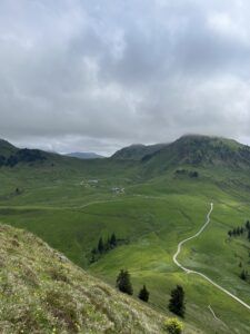 100 Hektar Weidefläche gehören zur Lämmerbühelalm.
