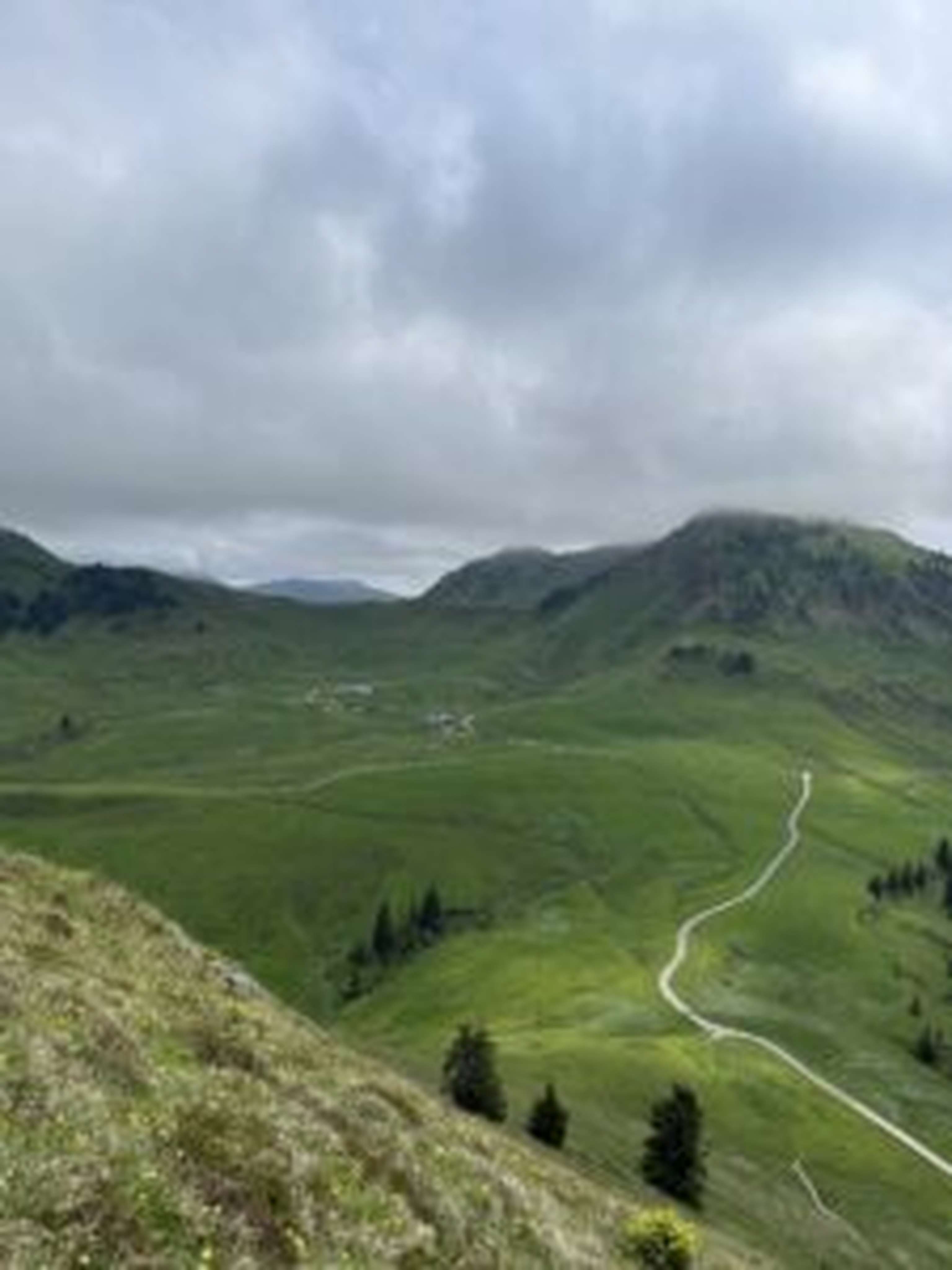 100 Hektar Weidefläche gehören zur Lämmerbühelalm.