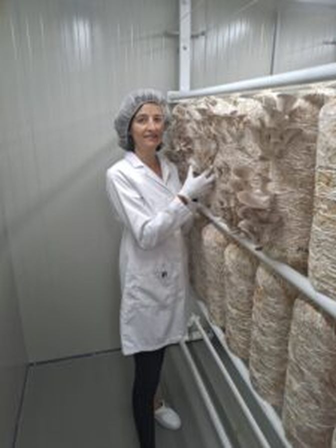 Vitalpilze aus dem Innviertel: Die Andorferin Helga Pichler mit ihren Austernpilzen-Säcken