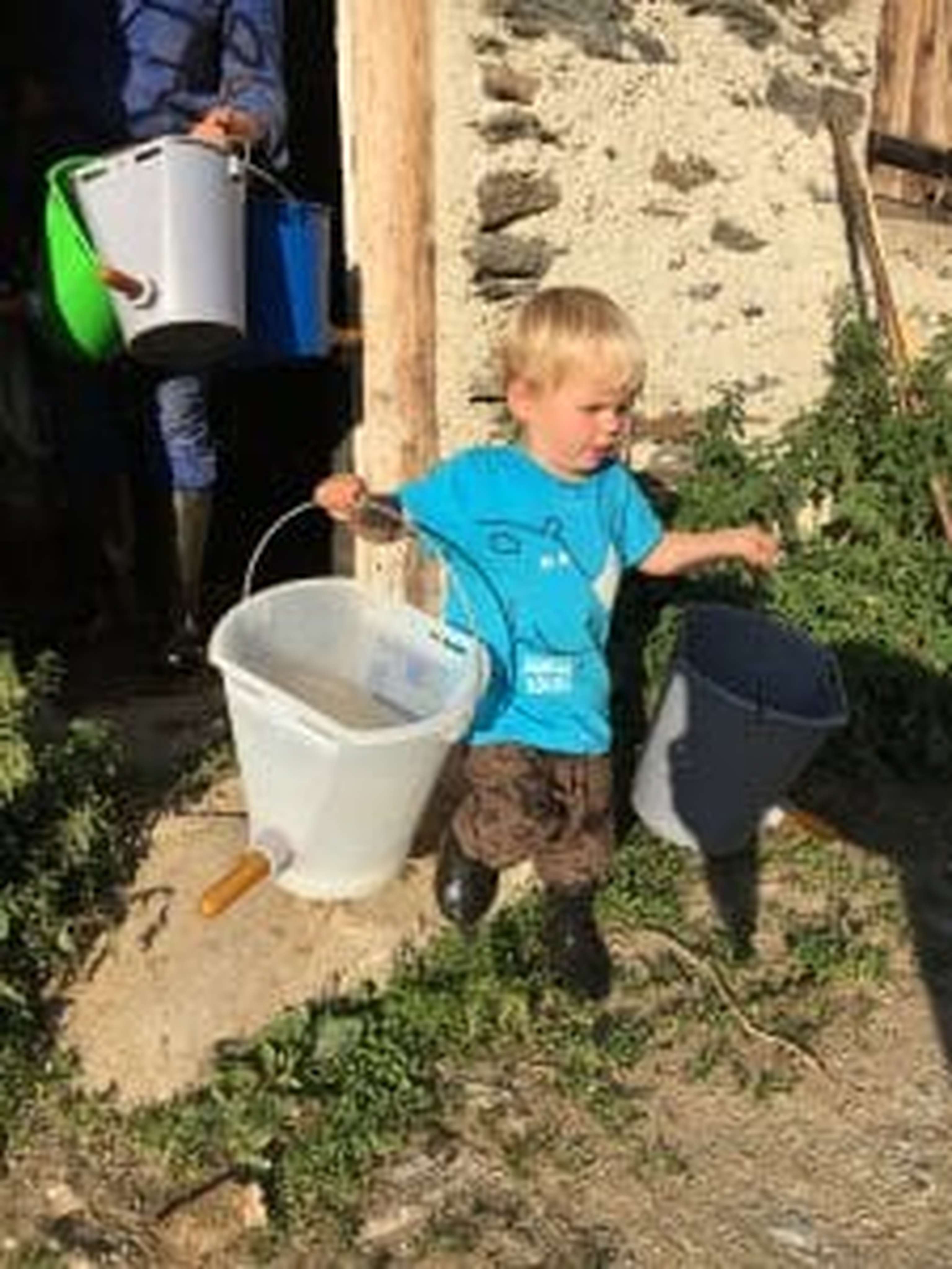 Früh übt sich, wer ein Almbauer werden will …