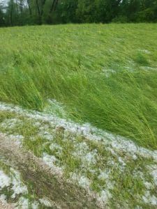 Hagel bei Grünland in Wolfsberg
