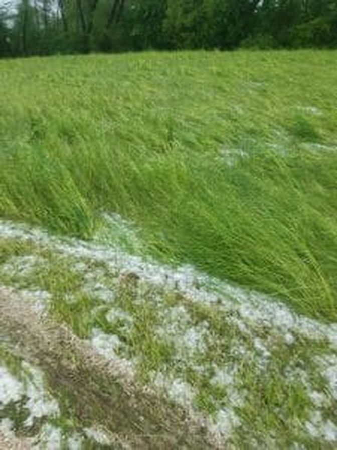 Hagel bei Grünland in Wolfsberg