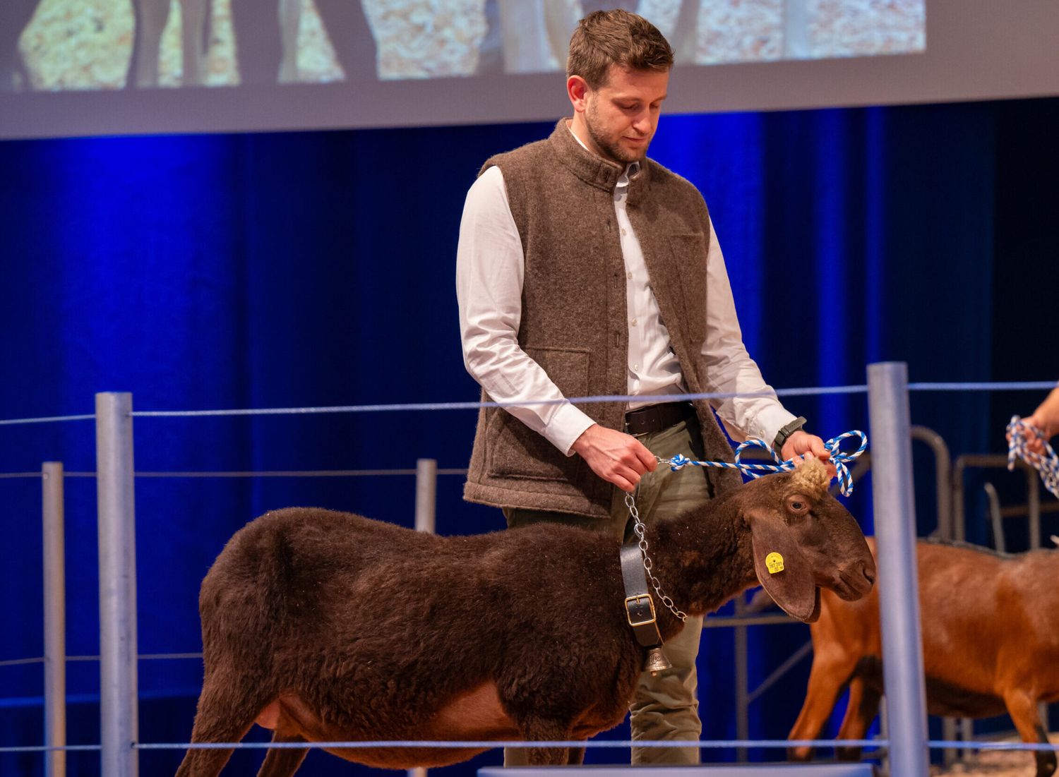 Im Schauring auf der EuroTier in Hannover präsentierte ÖBSZ-Geschäftsführer Taferner nicht nur einen rassetypischen Rohstofflieferanten, sondern ganz nebenbei auch das Endprodukt des AUTwool-Projekts.