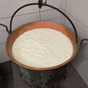 Käsebruch