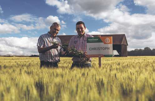 Sortenbild "Christoph"
