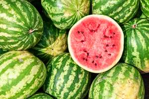 Wassermelone