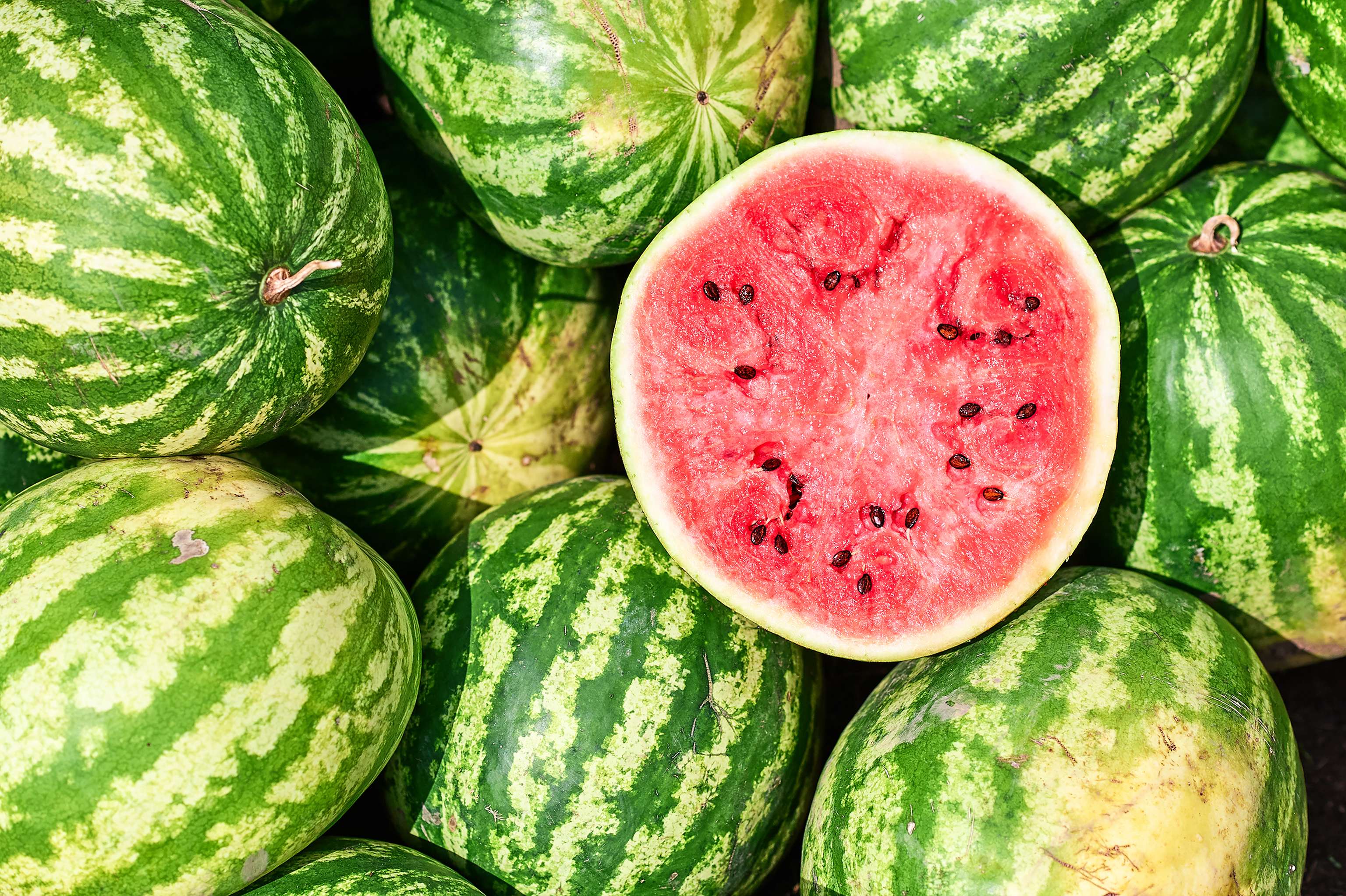 Wassermelone