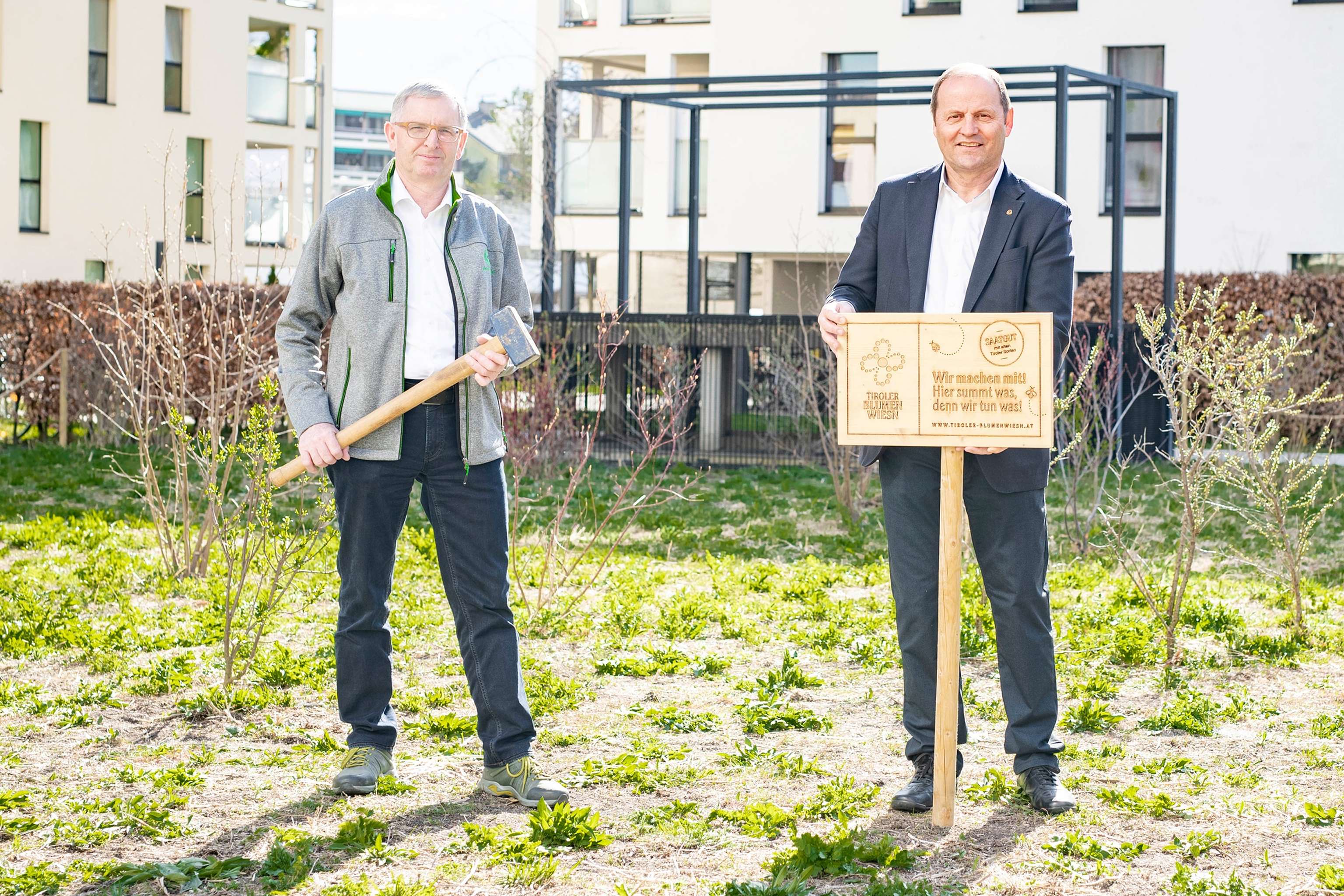 LandTirolBlumenwiese Angerer Geisler