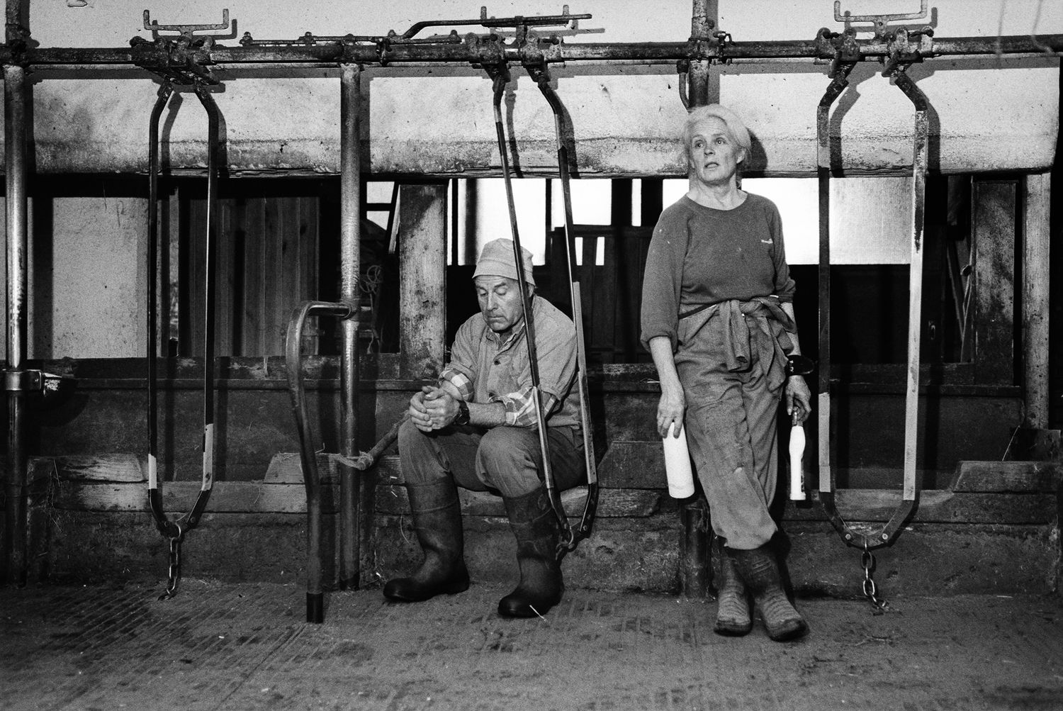 Der Stall ist frisch geweisselt. Kühe werden keine mehr einziehen, der Stall wird in Zukunft als Brennholzlager dienen, 2000.