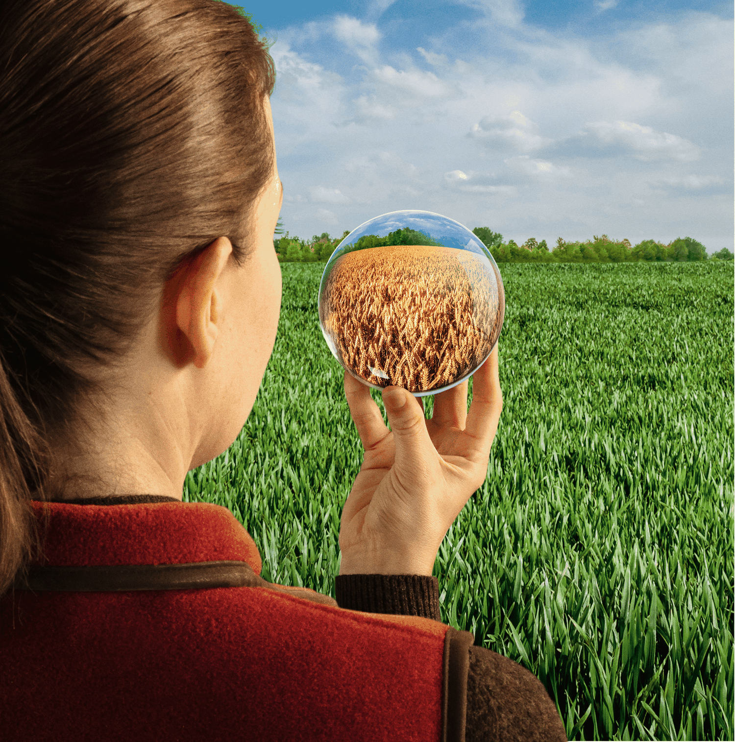 Univoq, der neue Standard gegen Getreidekrankheiten in Weizen, Roggen, Triticale und Dinkel.