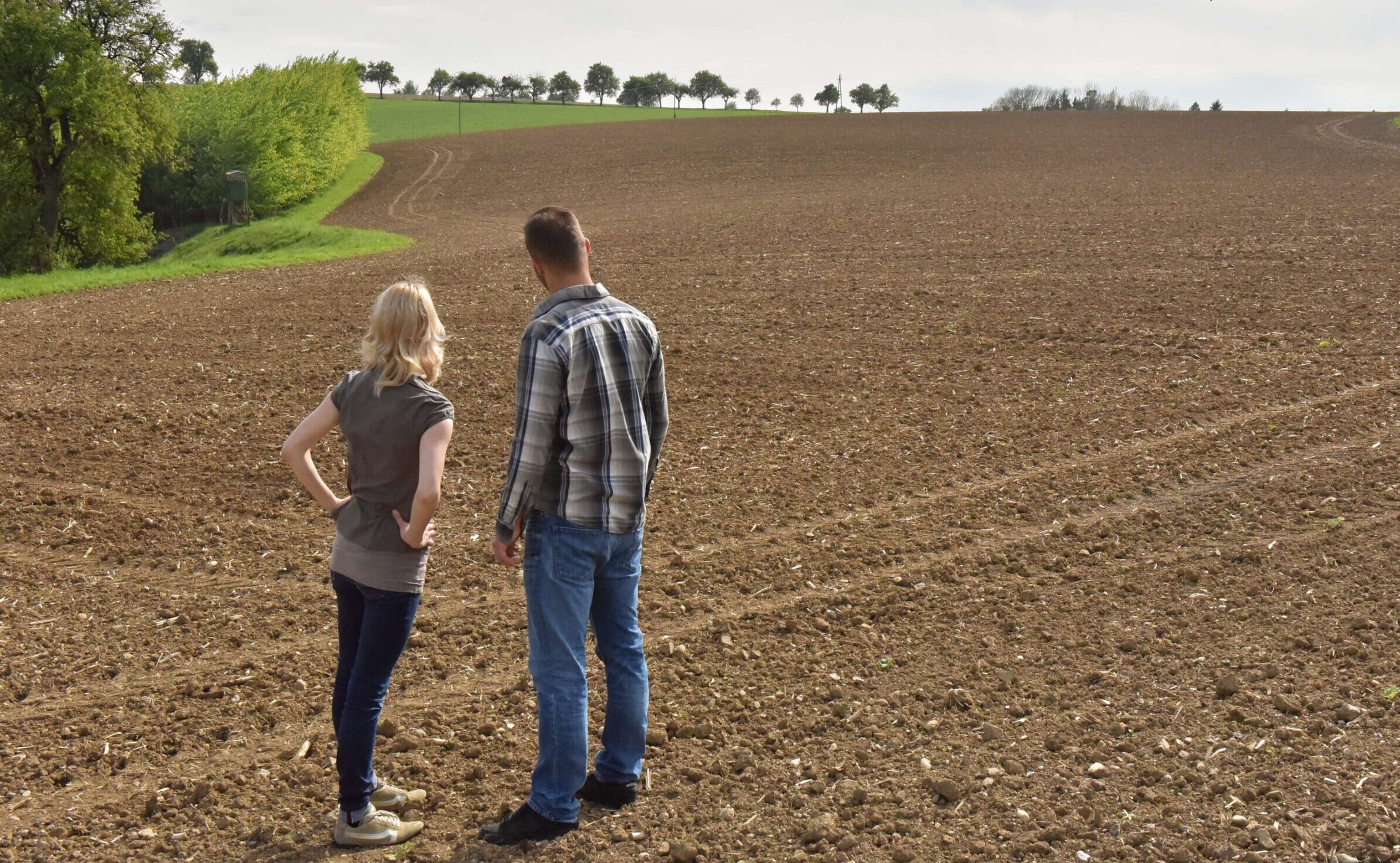 Blick in die Zukunft