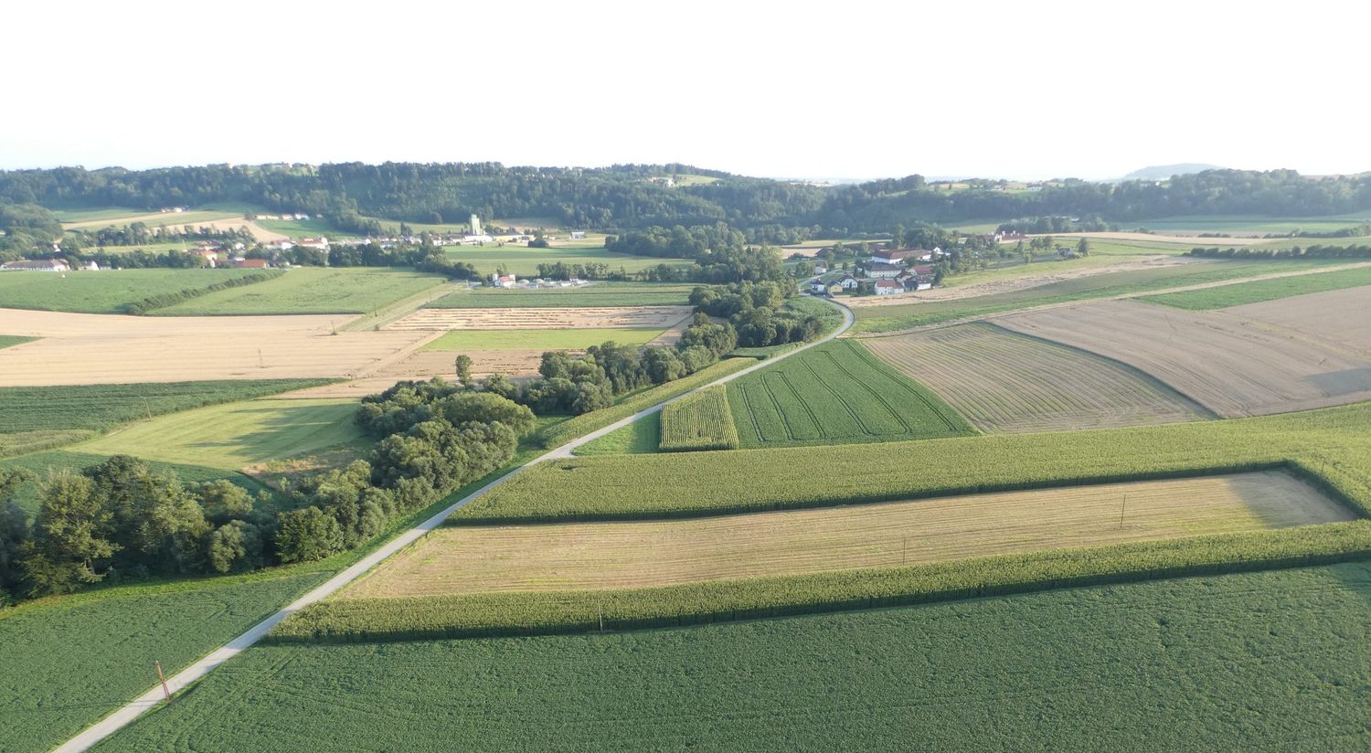 Heimische Bäuerinnen und Bauern brauchen Flächen, um Lebensmittel zu erzeugen.