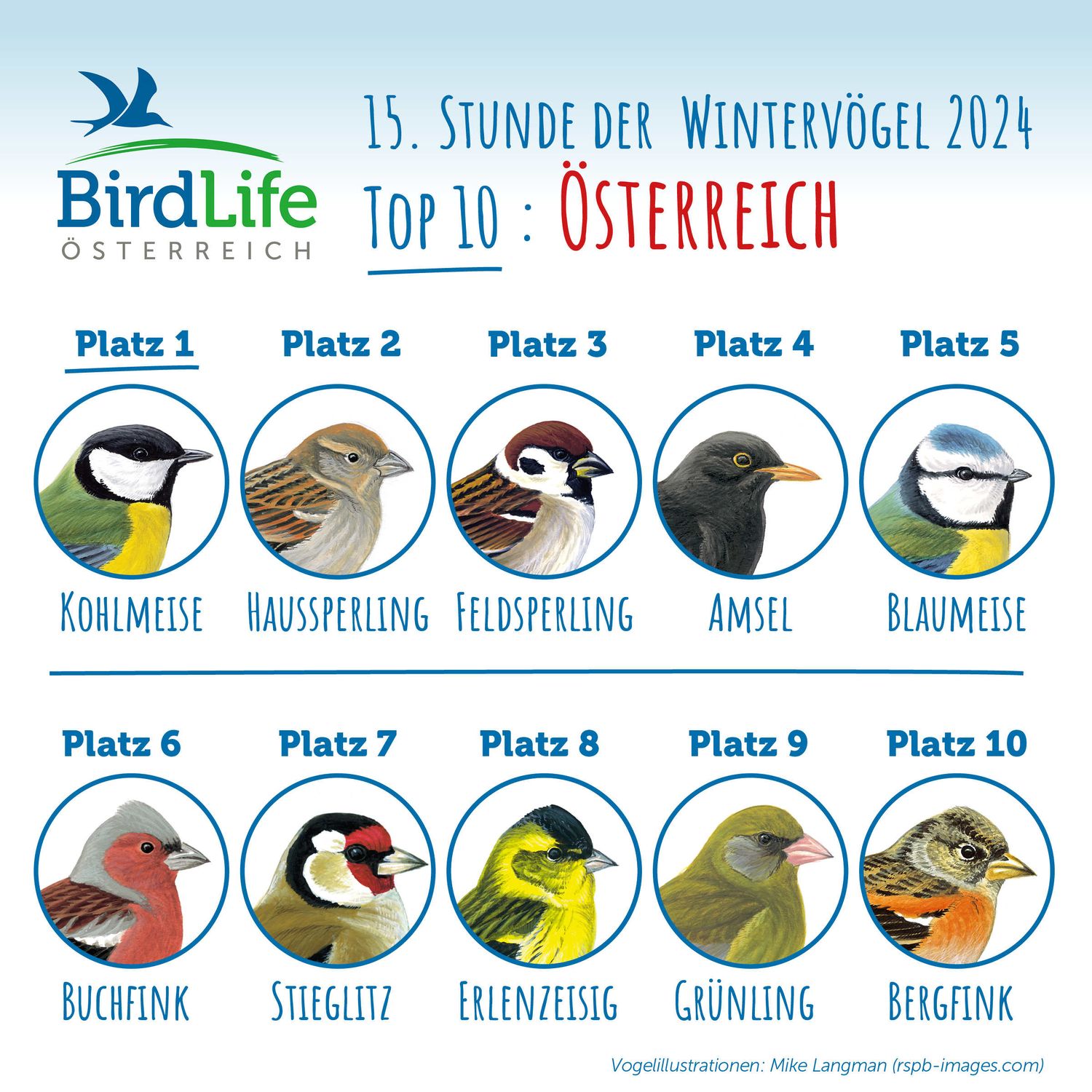 Top 10 Österreich Web