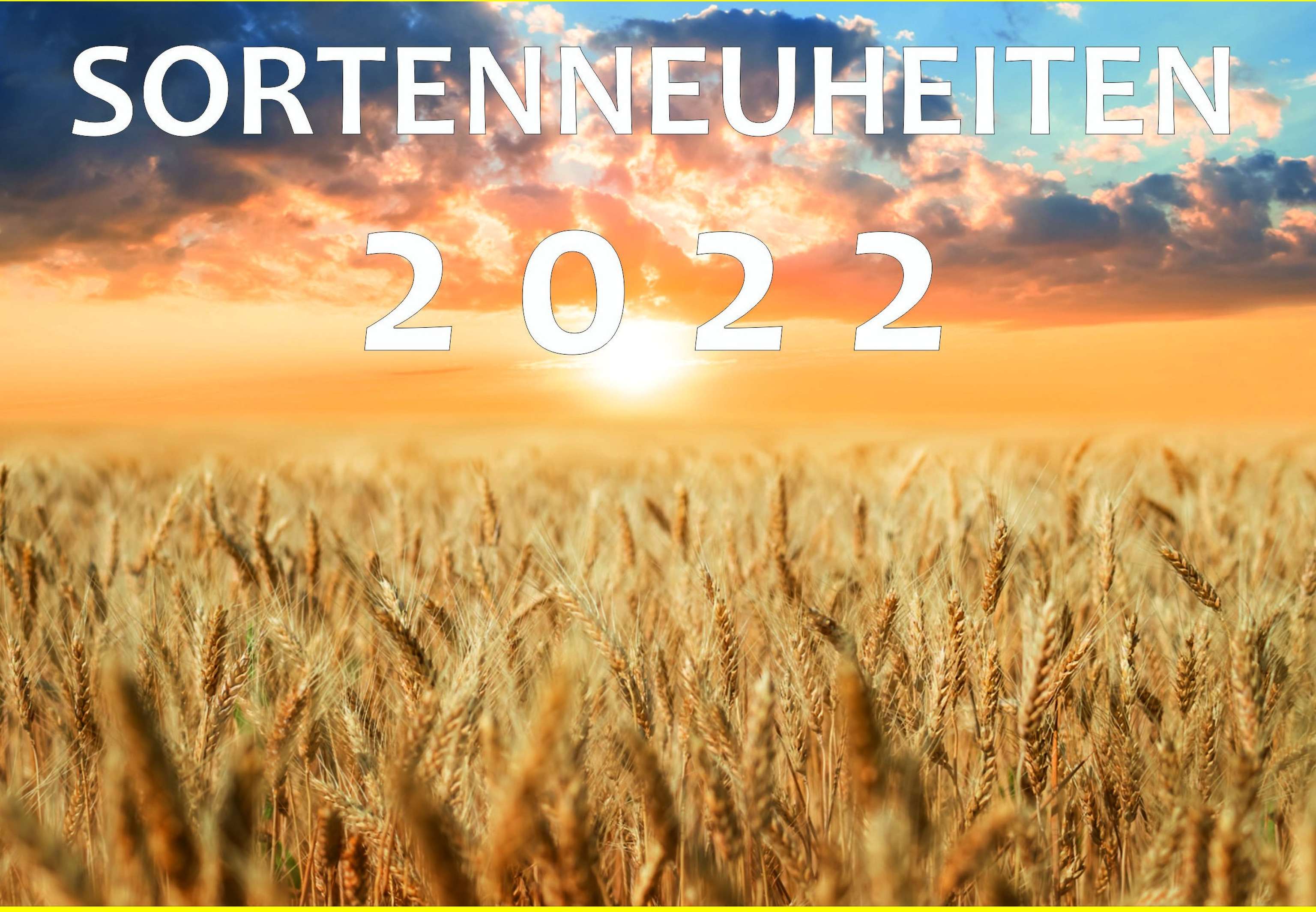 Der beliebte Qualitätsweizen.
