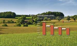 Strukturwandel