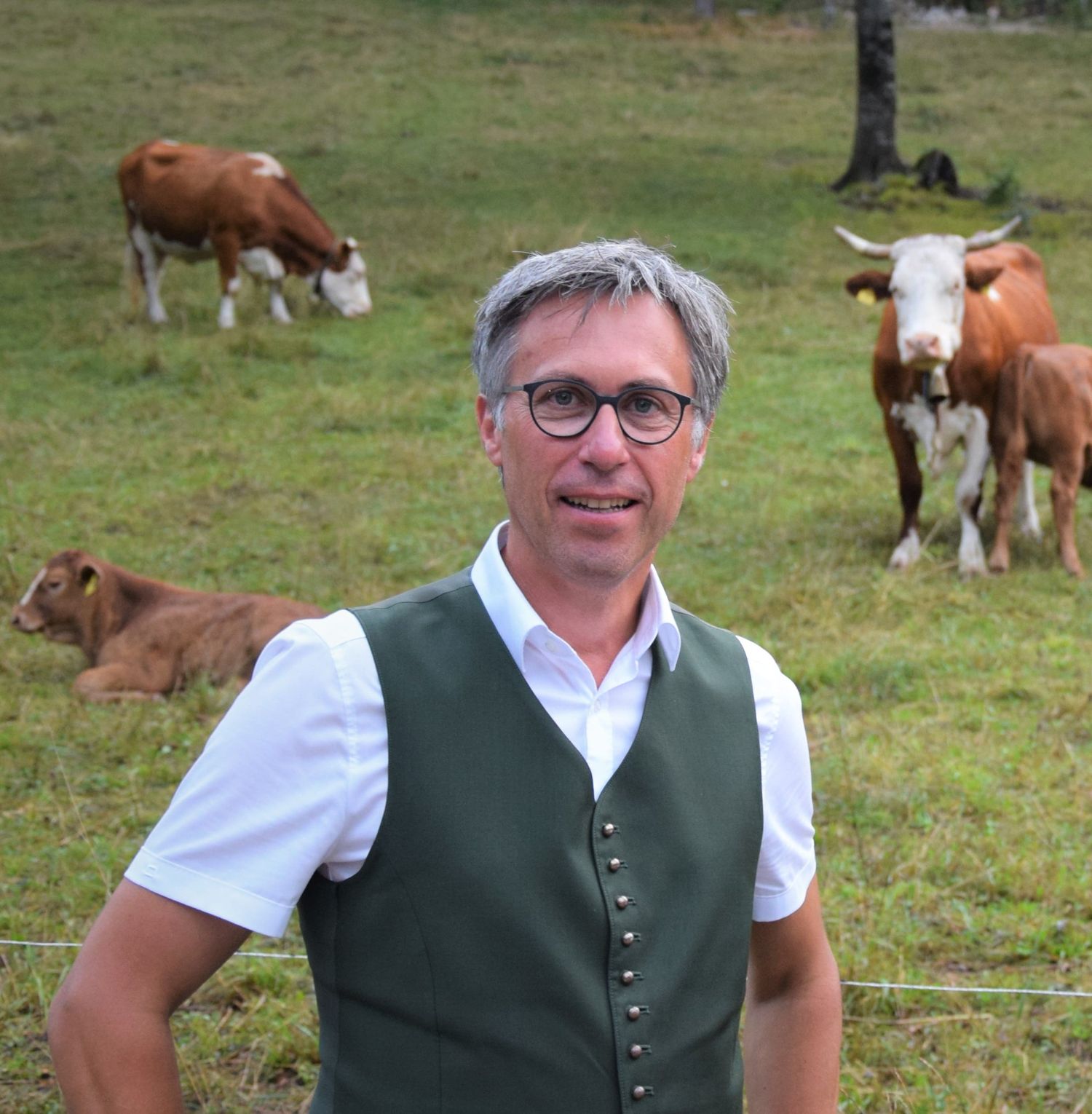 Auf Alm In OÖ