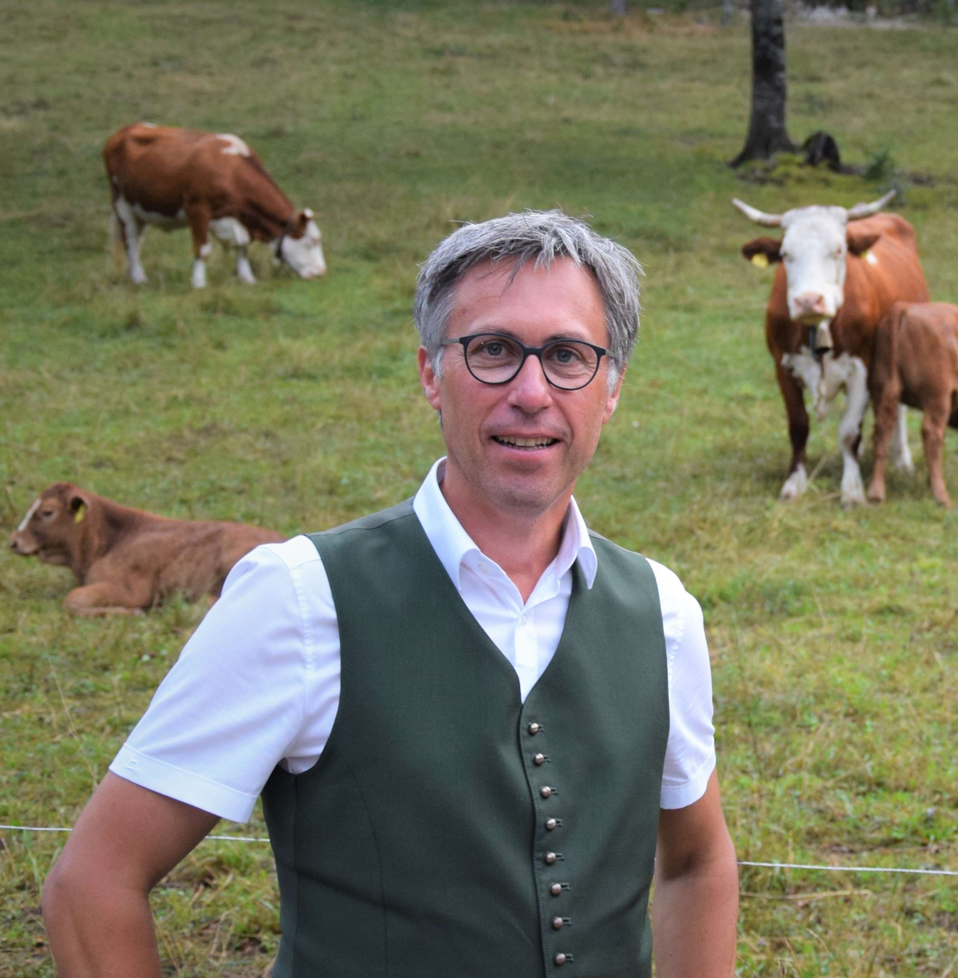 Auf Alm In OÖ
