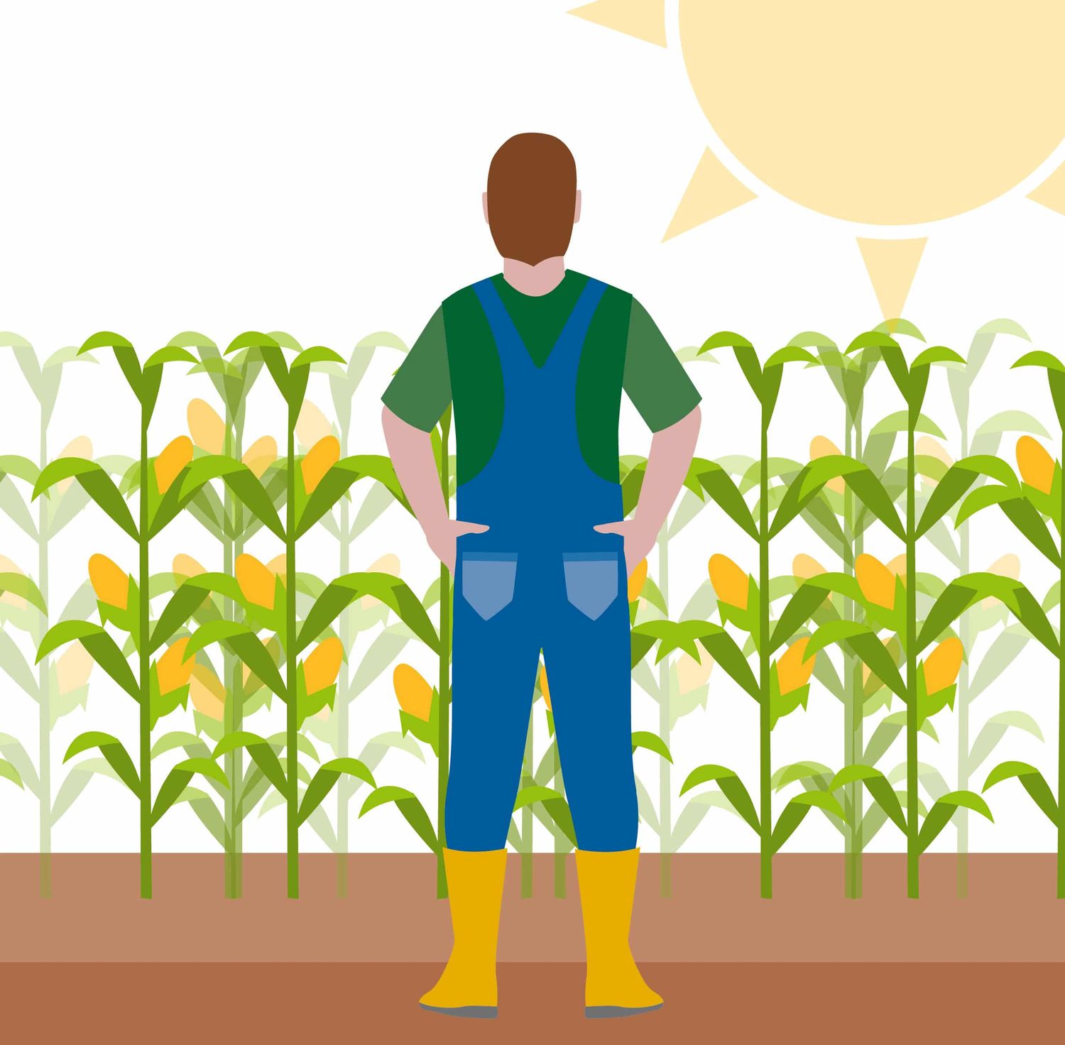 Landwirtschaft Neu