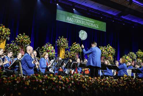 NÖ Bauernbundball
