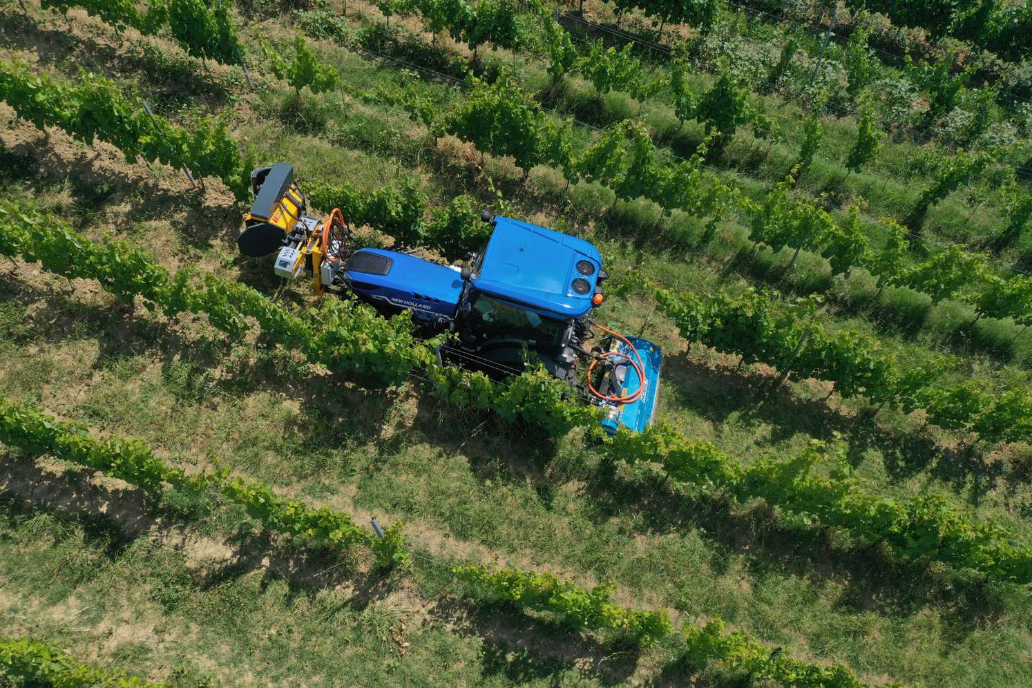 Traktor im Weingarten