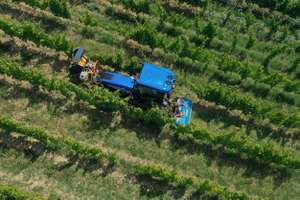 Traktor im Weingarten