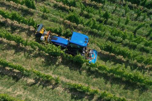 Traktor im Weingarten