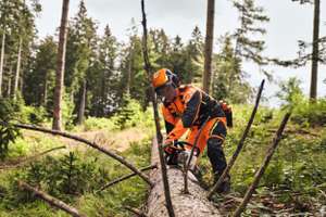 126436 STIHL MS 400 Anwendung 1 EU Usable RoW