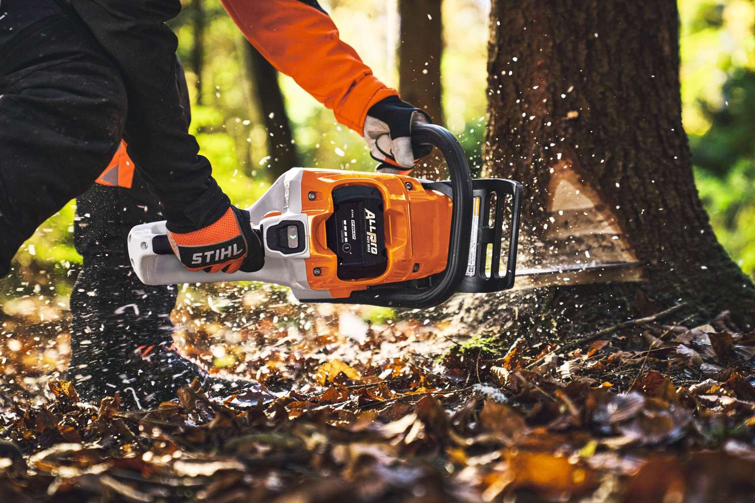 Person mit STIHL Akku-Kettensäge sägt einen Baum im Wald, Holzspäne fliegen, Herbstlaub am Boden.