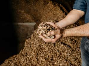 Person holding a handful of wood chips over a large pile, in a dimly lit setting, showcasing natural texture and earthy tones.