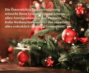 AdobeStock 292946768 Xmasweb2