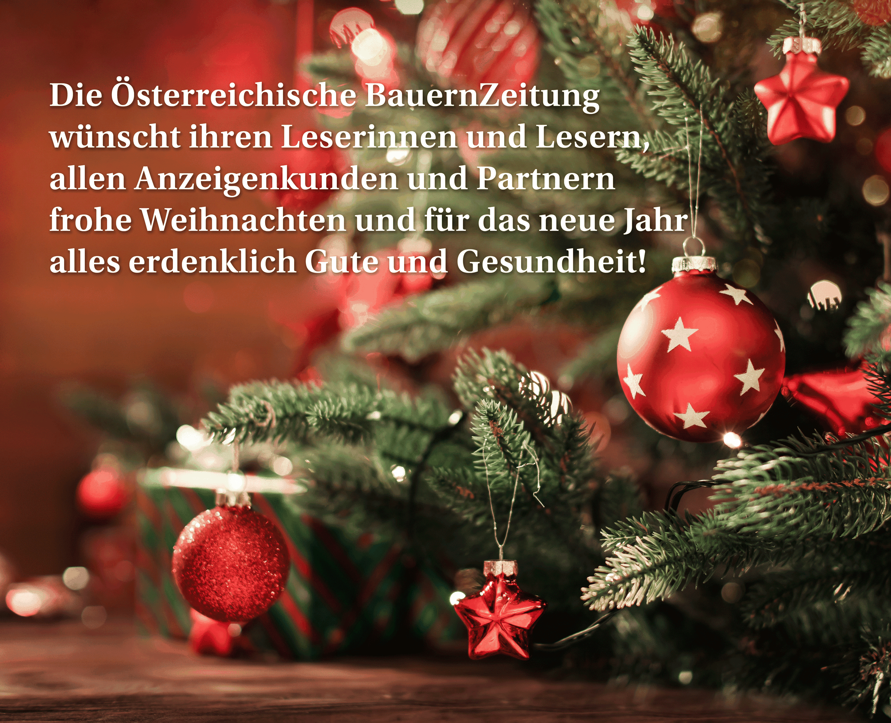 AdobeStock 292946768 Xmasweb2