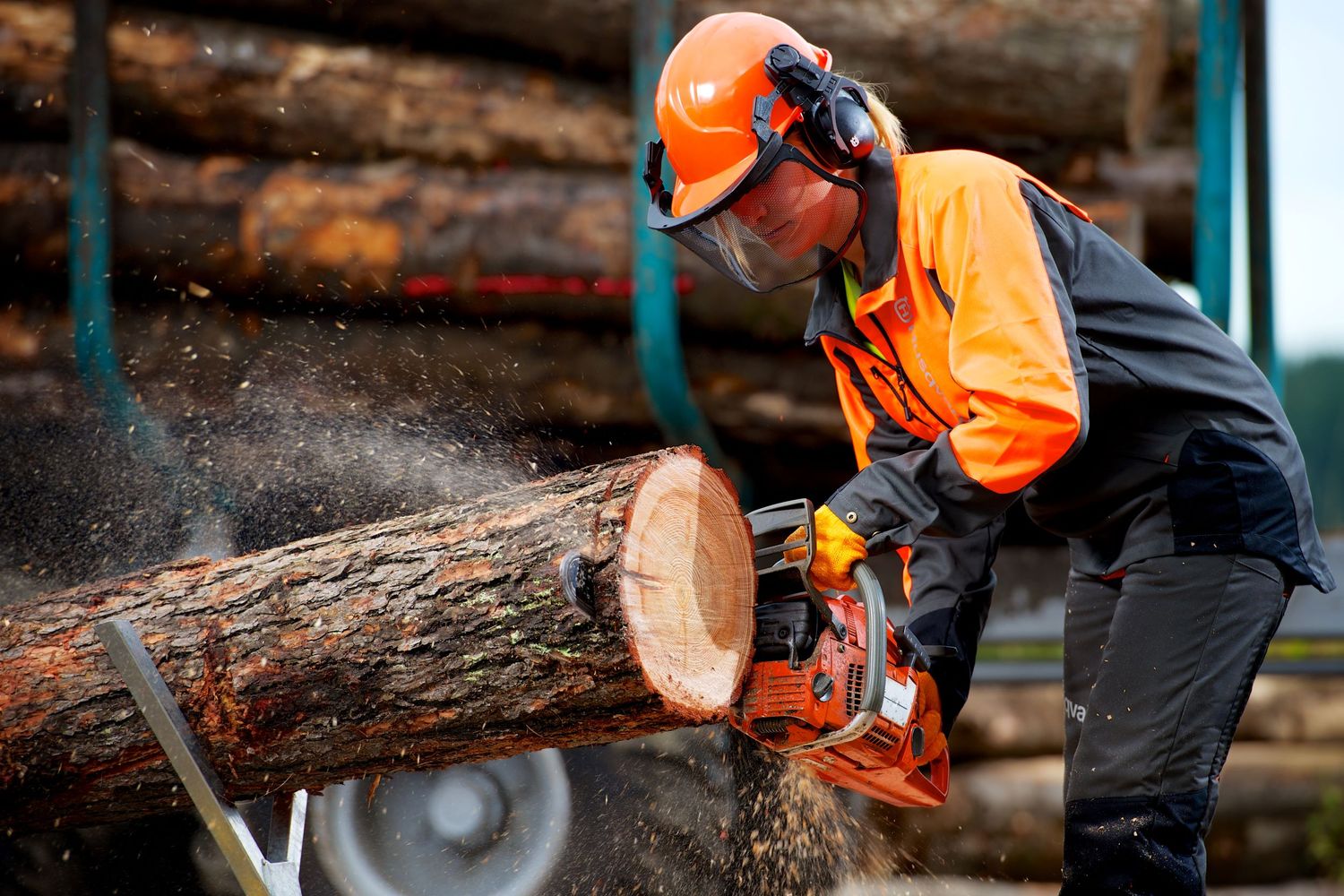 Energiegewinnung aus dem eigenen Wald gewinnt an Bedeutung.
