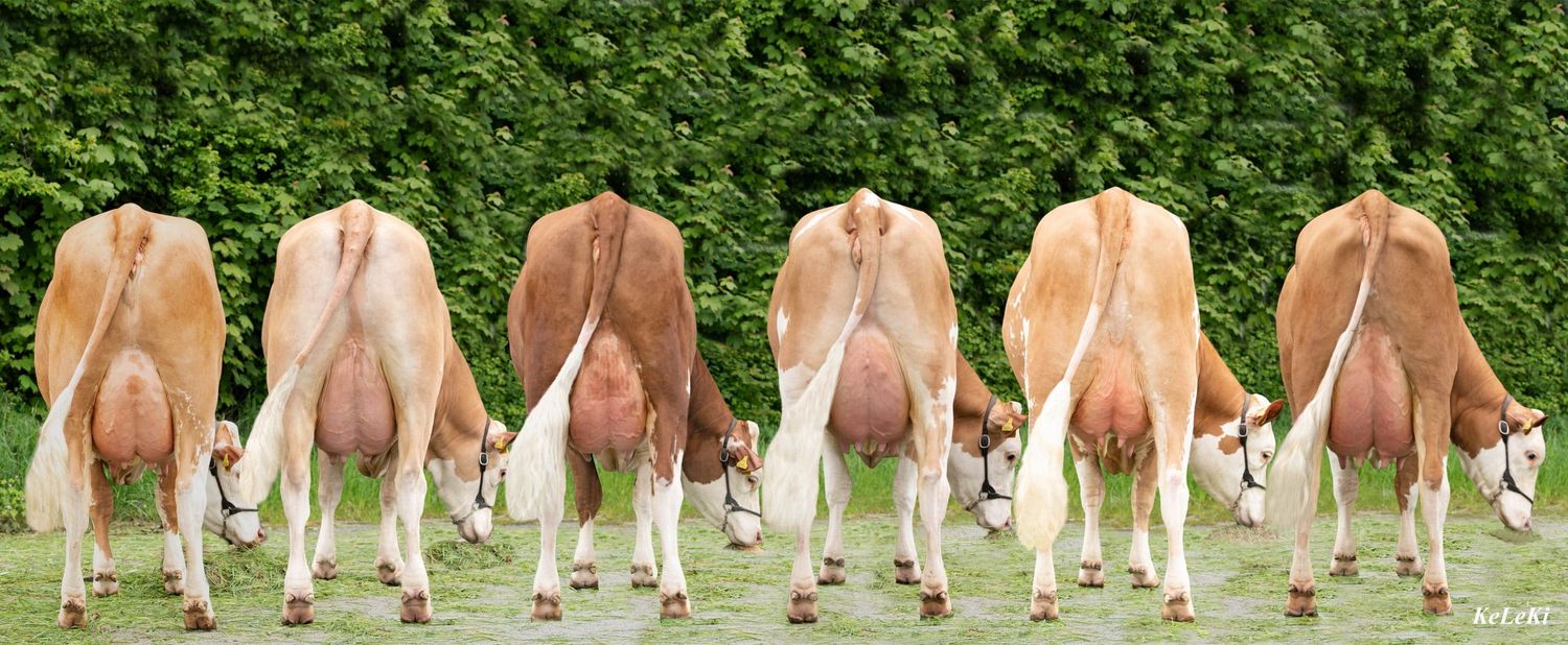 Vollendet_VV21-scaled.jpg