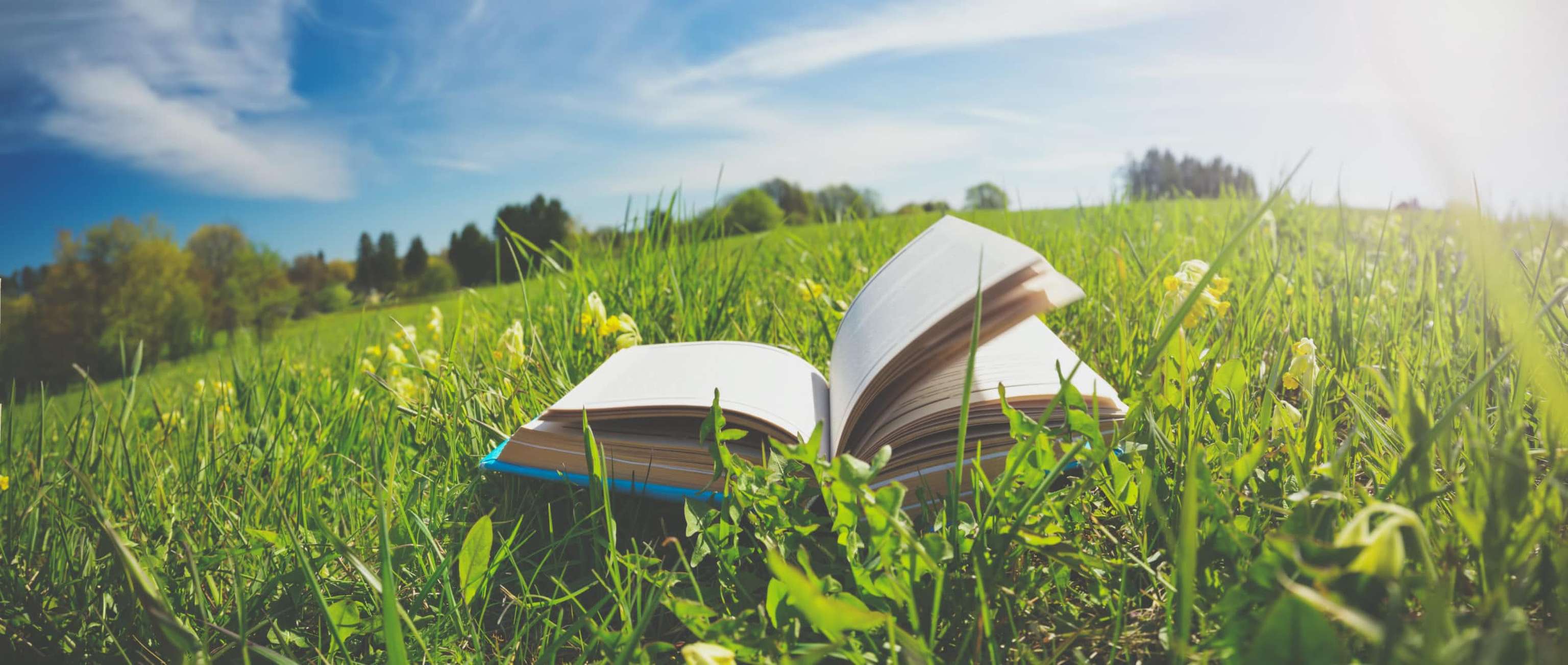 Open Book In The Grass On The Field