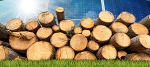 Renewable Energies Wind Solar Biomass Hydropower