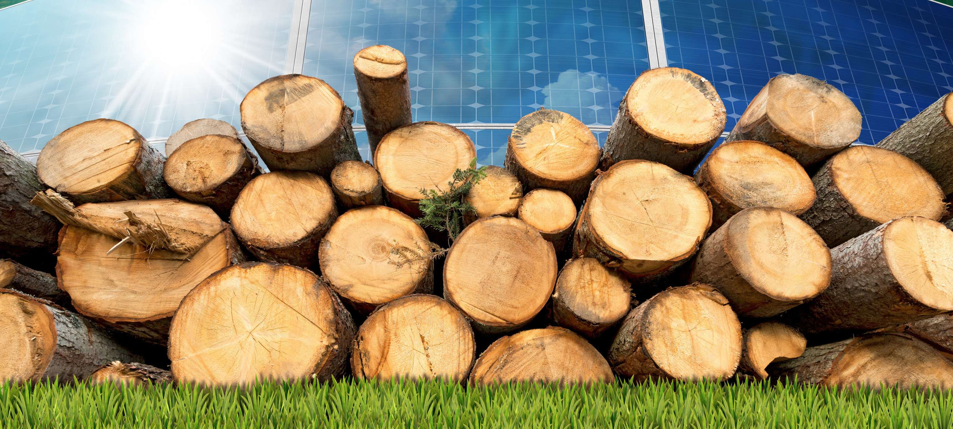 Renewable Energies Wind Solar Biomass Hydropower