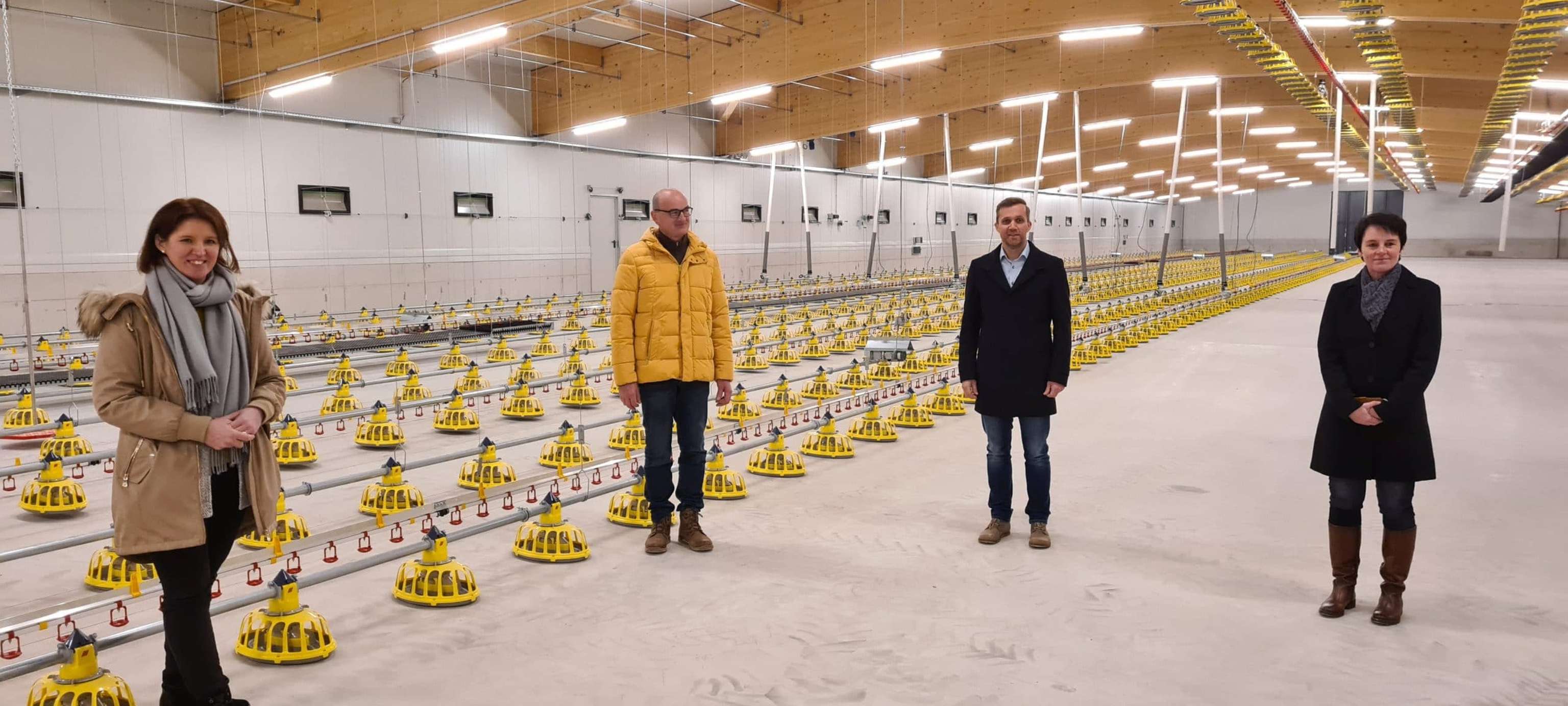 Elterntier Aufzuchtstall LK OÖ Mayringer