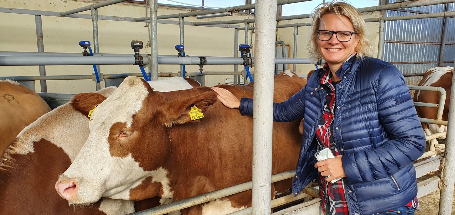 Tierärztin Simone Steiner begleitete einen Zuchtviehtransport nach Aserbaidschan
