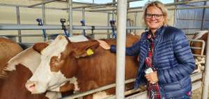 Tierärztin Simone Steiner begleitete einen Zuchtviehtransport nach Aserbaidschan