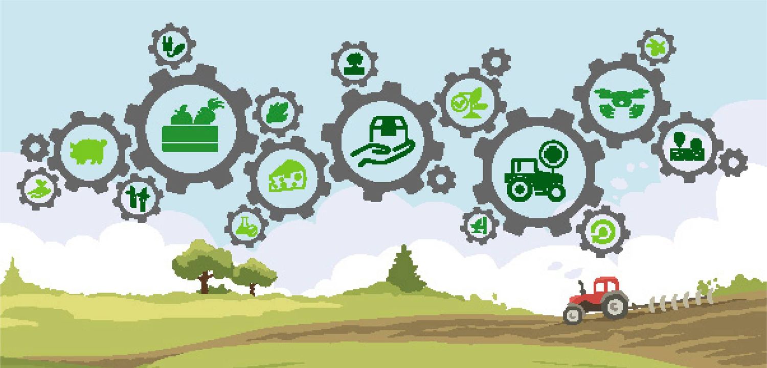 Es gibt viele Stellschrauben entlang der Wert- schöpfungskette an denen gedreht werden kann, um Innovationen am eigenen Betrieb zu schaffen.