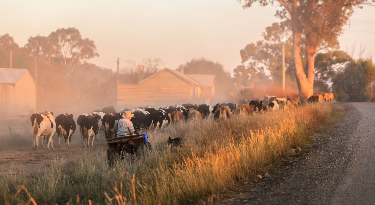 „Unpraktische landwirtschaftliche Anforderungen“ befürchten Australiens Farmer, sofern ein Handelsabkommen mit der Europäischen Union Realität wird.