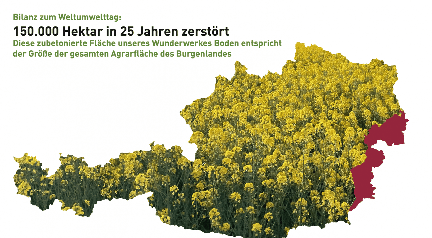 Weltumwelt-Tag am 5. Juni
FOTO: ÖHV