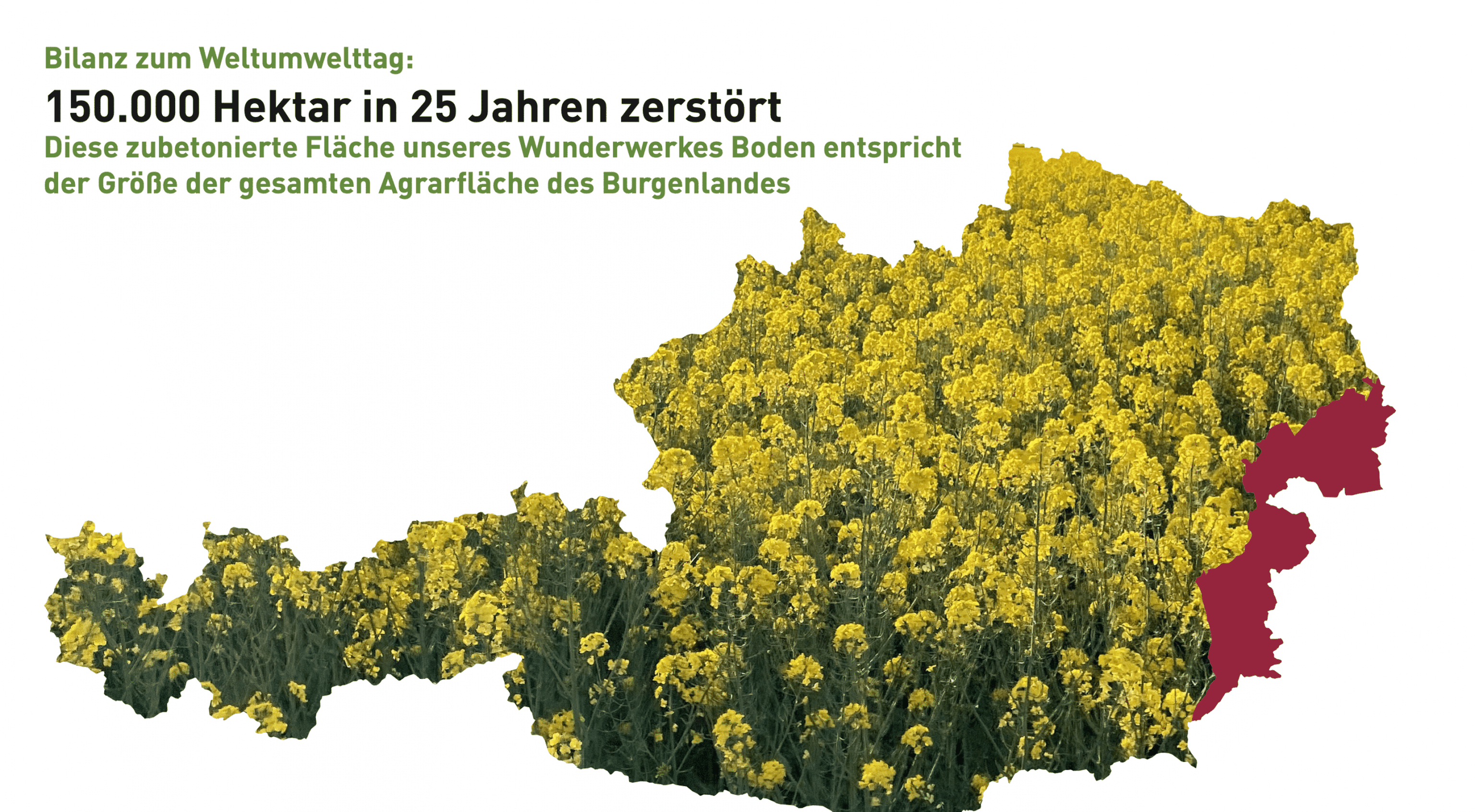 Weltumwelt-Tag am 5. Juni
FOTO: ÖHV