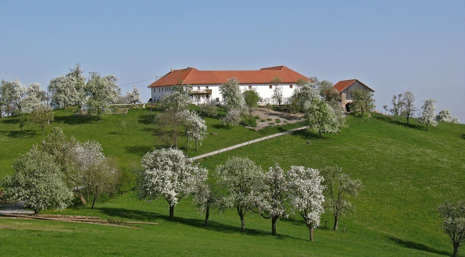 Nichts prägt das Landschaftsbild Oberösterreichs so sehr wie die Obstbäume und Streuobstwiesen.
