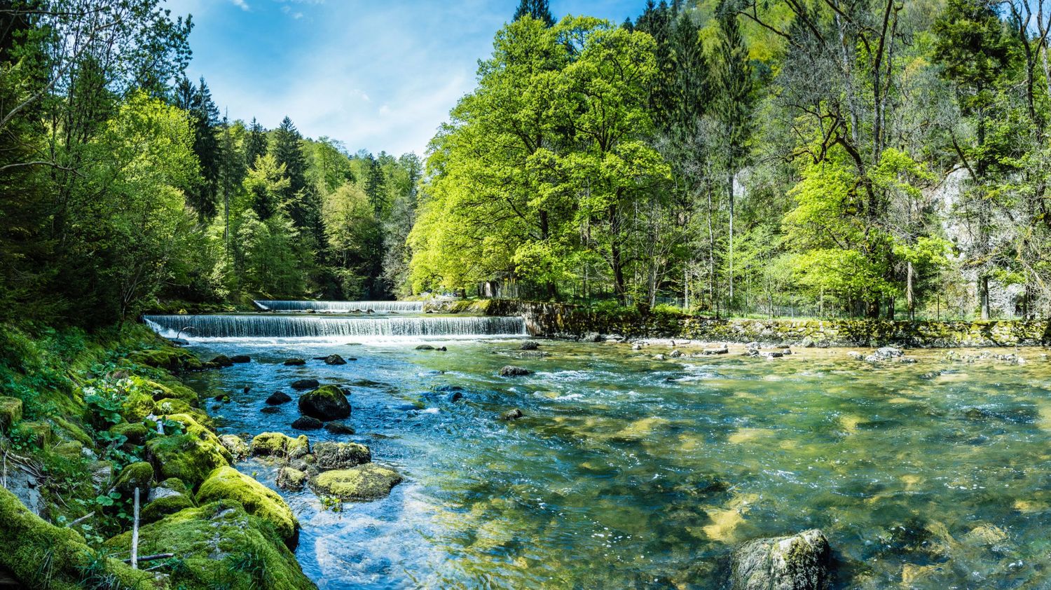 AdobeStock 110531026