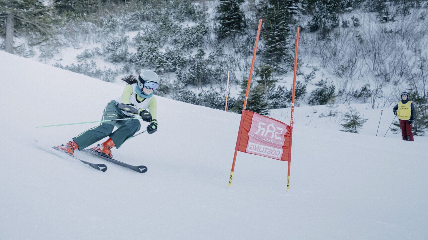 Alpine Skimeisterschaften