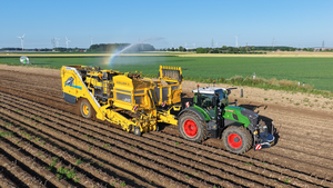 Traktor mit Rübenroder