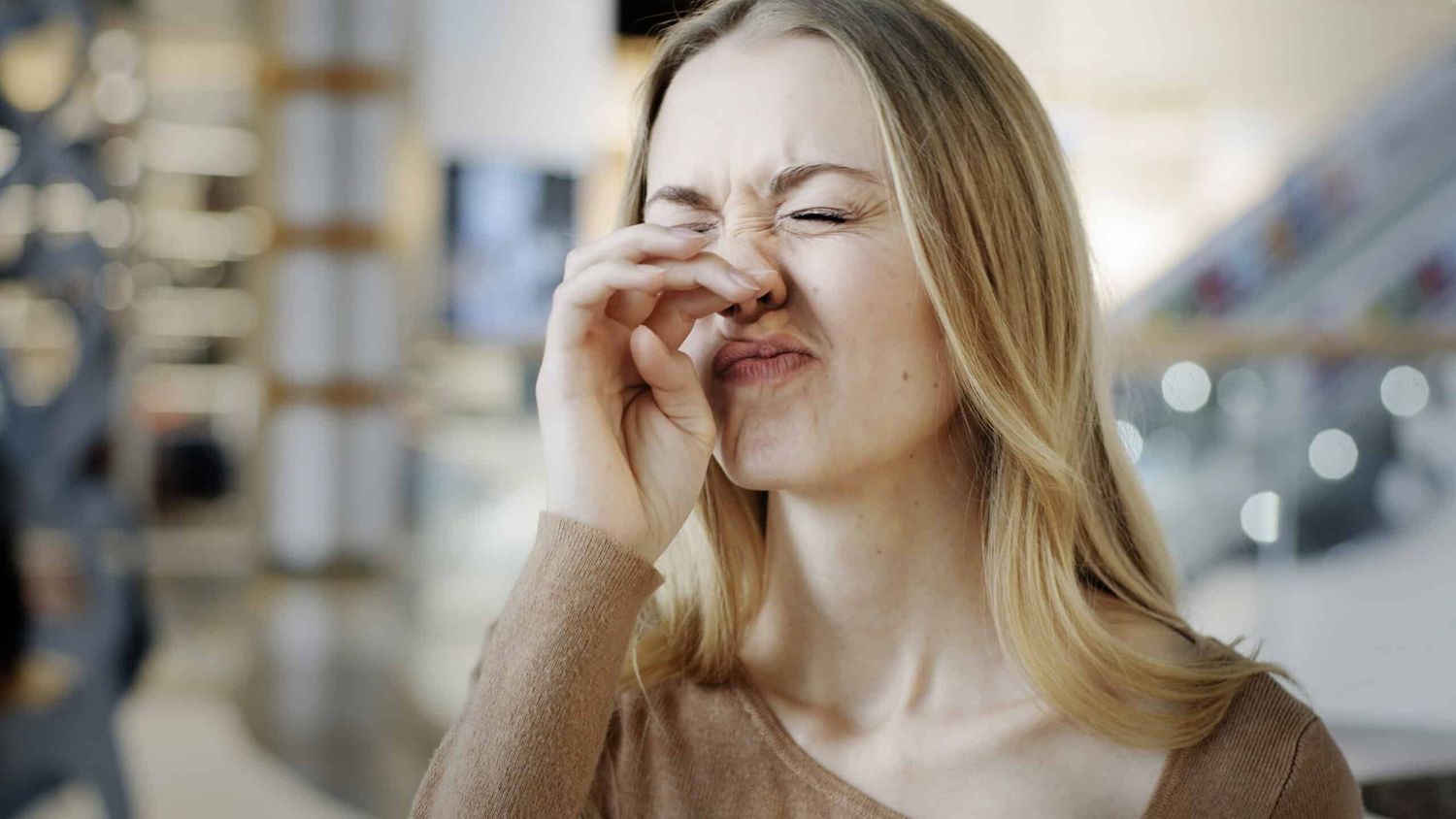 Auch im Winter sind Purpur-Erle und Hausstaubmilben eine Plage für Allergiker. Es gibt Strategien zur Allergenvermeidung.
