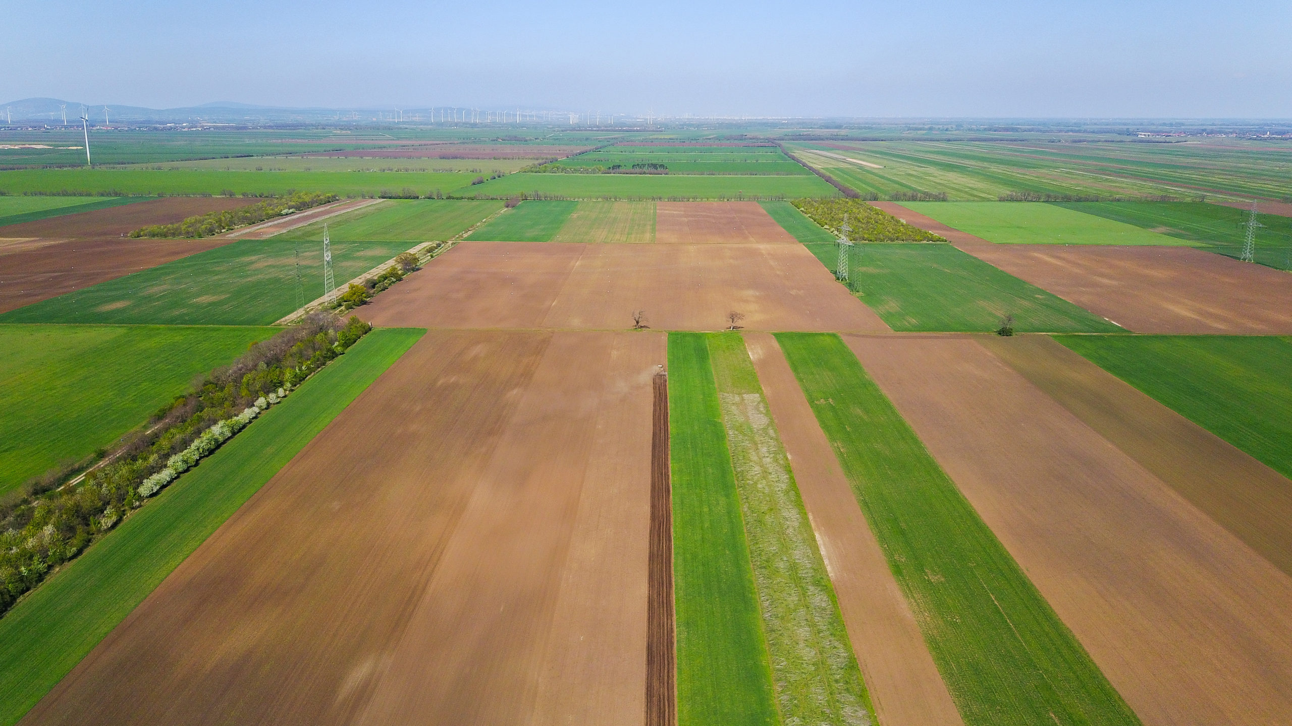 Preisunterschiede für Ackerland und für Grünland sind EU-weit enorm ...