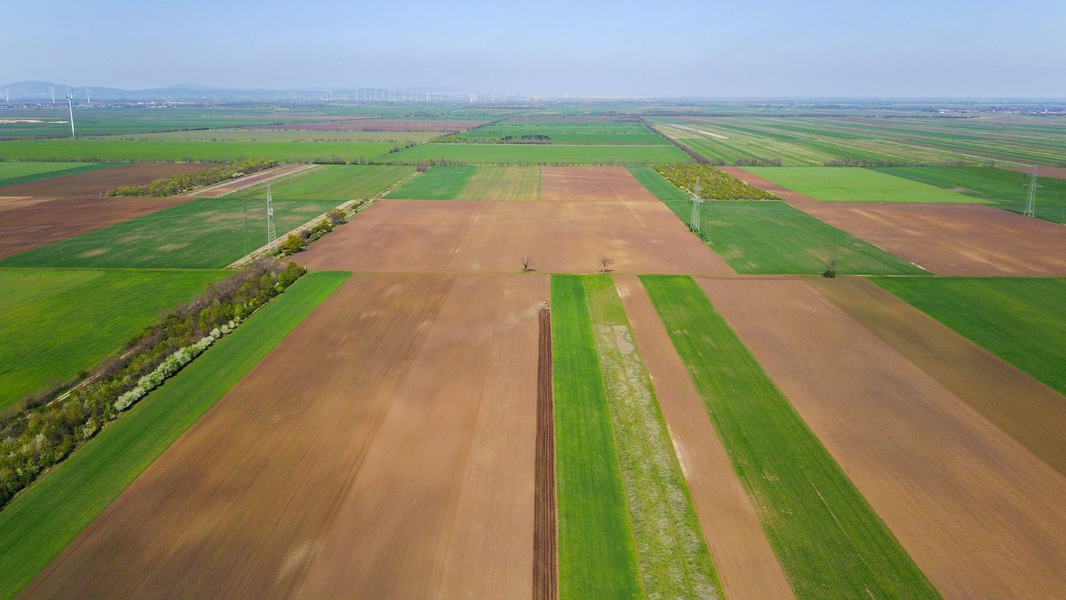 Agrarlandschaft